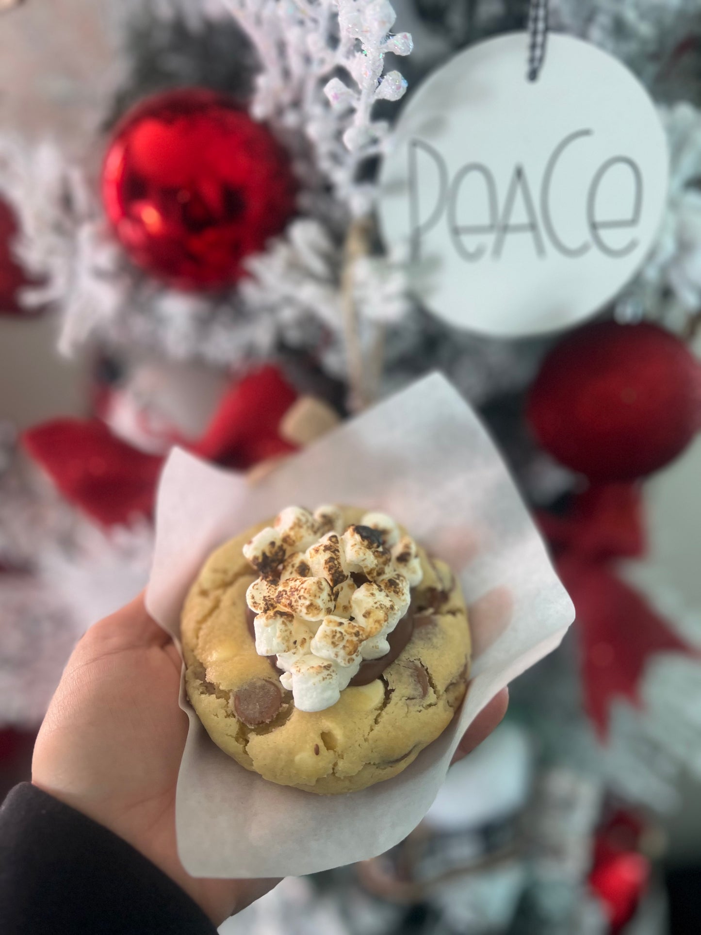 S'more Chocolate Chips (6 or 12)